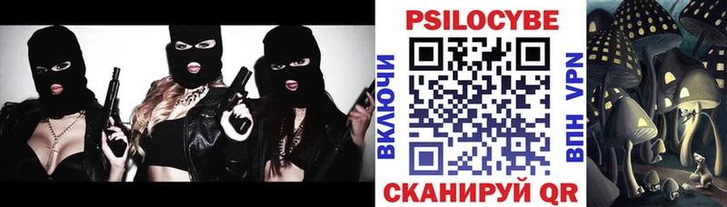 купить   Городовиковск  omg сайт  Псилоцибиновые грибы Psilocybine cubensis 