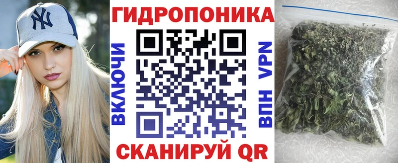 Бошки марихуана OG Kush  Городовиковск 